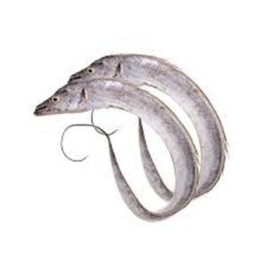 Poisson rond entier frais congelé 0.05% humidité maximale couleur argent naturel en boîte ou en vrac conservé avec du sel et de l'eau - Product Image 1