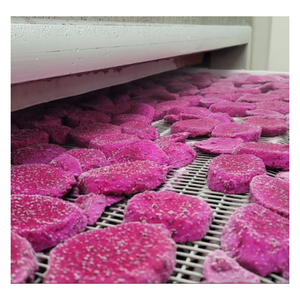 แก้วมังกรแช่แข็งขนาดใหญ่สีแดงและสีขาวเวียดนามคุณภาพพรีเมี่ยมสำหรับผู้ซื้อขายส่ง - Product Image 4