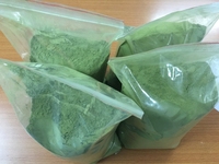 Produit de feuilles de Pandan biologique Taille 1 kilogramme Vente en gros de haute qualité Extrait de feuilles de Neem biologique