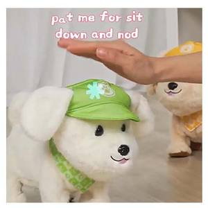 EPT RC interaktif ses kontrolü giydirdiği Bichon Frise akıllı Pet uzaktan oyun Robot köpek oyuncak müzik kayıt yapılmış plastik - Product Image 4