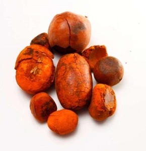 Cálculos Biliares de Vaca Secos / Cálculos Biliares de Buey / Cálculos Biliares de Ganado - Product Image 6