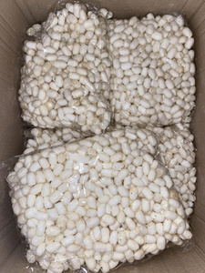 NATURAL FIBER COCOON / for BEAUTY, CRAFT, and COMFORT / MADE in VIETNAM - Product Image 2