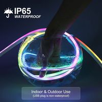 Светодиодная неоновая лента RGBIC 5В USB, 5м, IP65, гибкая, из ПВХ, с эффектом бегущих огней, синхронизация с приложением, управление по Wi-Fi, для помещений, умный комплект светодиодных лент