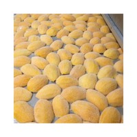 IQF Exporteur Groothandel Bulk Biologische 100% Natuurlijke Diepvries Carabao Mango LQF Verwerkt Fruit met Beste Prijs Andere Verse Snacks