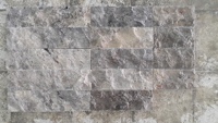 2025 Ledger Stone Split Face Silver Travertin Z Panel Carrelage Mural Fabriqué en Turkiye 100% Pierre Naturelle Vos Projets de Construction
