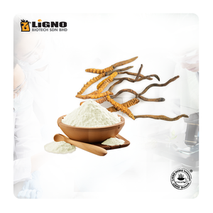 LiGNO OCS02 ®   Ophiocordyceps Sinensis Malaisie Premium Complément énergétique et immunitaire OEM ODM Friendly Poudre de santé naturelle - Product Image 1