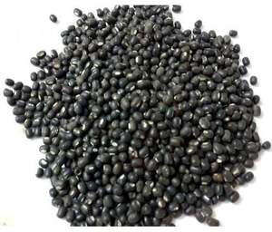 ถั่วดำอูราดคุณภาพส่งออกพรีเมียม อุดมด้วยโปรตีน ทำความสะอาดด้วยเครื่องจักร บรรจุภัณฑ์แบบเทกอง ธรรมชาติบริสุทธิ์ อายุการเก็บรักษายาวนาน เกรดสำหรับการจัดจำหน่าย - Product Image 1