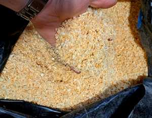 Aserrín de Madera de Pino 100% Natural, Producto Agrícola para Cama de Animales, Alta Calidad - Product Image 1