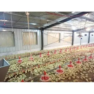 SANHE prefabricated laying hens building poultry shed construction industrial poultry