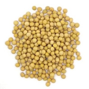 Soja jaune biologique non-OGM séché, riche en protéines, en vrac, de haute qualité, vente en gros à bas prix, directement de l'usine chinoise - Product Image 1