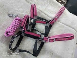 ม้าไนล่อนปรับแต่งสายรัดเชือกแขวนคอเหล็กที่มีคุณภาพสูงโลหะที่เหมาะสมโครเมี่ยมทองเหลืองซาติน Polyce นำชุดเชือกแขวนคอสีดำ/ สีชมพู - Product Image 2