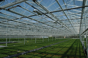 Système d'énergie solaire électrique, serre solaire, serre photovoltaïque en verre pour la culture des légumes - Product Image 6