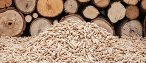 Qualité supérieure 6 mm 8 mm |   Grand sac ou sacs de 15 kg |   Granulés de bois de chêne/pin (granulés de bois approuvés BSL en sacs de 15 kg) - Product Image 3