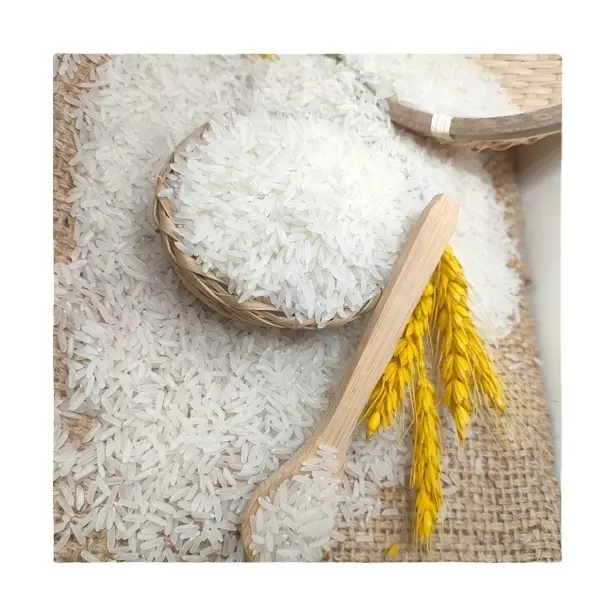 Beras Vietnam-Jasmine beras putih gandum panjang dengan kurang dari 5% piring rusak memenuhi standar ekspor dari perusahaan perikanan beras