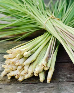 Tiges de citronnelle de qualité supérieure pour le marché international / Qualité naturelle pour l'exportation - Product Image 5