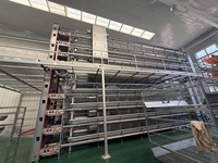 Nouveau système de cages avicoles de type H, équipement d'alimentation automatique en acier galvanisé, facile à utiliser pour la production commerciale d'œufs.