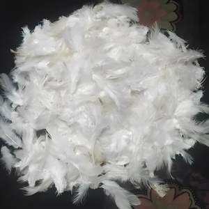 Plumas de pato limpias y suaves de alta calidad para ropa de cama, muebles y fabricación de textiles para el hogar-Embalaje a granel disponible - Product Image 6