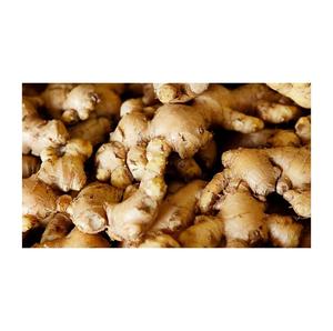 Gingembre frais de haute qualité, vente en gros bon marché, nouvelle récolte de gingembre frais - Product Image 5