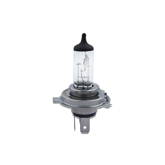 Genuine TVS Apache RTR Halogen Bulb for Sale at Cheap Price