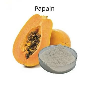 Papaína en Polvo de Grado Alimenticio a Granel |   Extracto de Enzima de Papaya Natural |   99% de Pureza |   5000U/g |   Suministro Personalizado OEM/ODM - Product Image 4