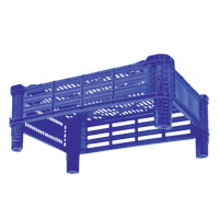 DPK15 Assiettes et bols élégants en plastique 40x30x15cm – Rangement et service pratiques pour fraises – Caisse premium pour dinde