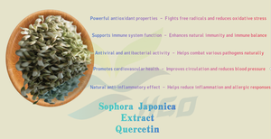 Suministro directo de fábrica HGO extracto puro natural de Sophora Japonica (grado alimenticio) Especificación quercetina 90% (extracto estandarizado) - Product Image 5