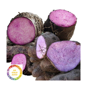 2025, venta al por mayor, ñame púrpura orgánico, recién cosechado, cultivado en la granja, raíz de ñame púrpura sin OMG, Exportación a granel al por mayor de alta calidad - Product Image 1