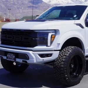 (HY) 2025 FordS RAPTOR camión coche usado - Product Image 1