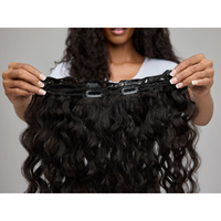 Extensions de cheveux indiens bouclés à clipser Fishnut, double trame, toutes couleurs, teintables, marque Hairarchy, vente en gros, meilleur prix