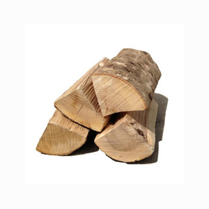 TRONCOS DE MADERA EUCALIPTO/TRONCOS DE MADERA CRUDA Y PINO ABEDUL ROBLE CENIZO/MADERA Precio al por mayor TRONCOS DE ABEDUL ROBLE - Product Image 1