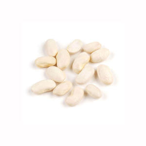 Venta caliente de buena calidad Saludable Long White Sugar Bean Dry White Riñones - Product Image 4