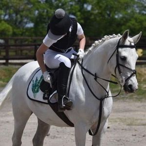 Matchy Noir Sublimation Dressage Tapis de Selle Numnah Cheval Tapis Ensemble pour Equitation Sports - Product Image 3