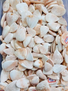 Cabochon de scolecite rose incroyable de qualité AAA pierres précieuses naturelles de différentes tailles pour la fabrication de bijoux concepteur de pierres précieuses conçues - Product Image 4