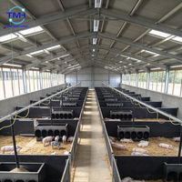 Bâtiments d'élevage préfabriqués résistants au vent et aux intempéries, à structure en acier anticorrosion, pour abris de vaches