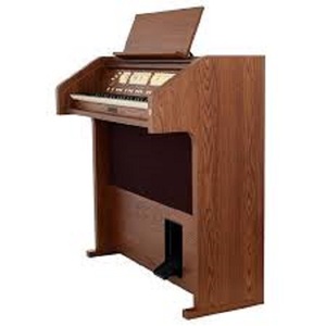 BEST NEW Viscounts Chorum 10 สีเข้ม/อ่อน - Product Image 1