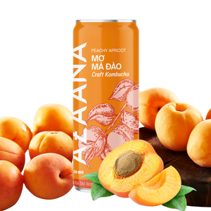 Premium Peach Apricot Kombucha Tea Best Vietnam-Origin Refrigerado Listo para beber Refresco concentrado - Product Image 4
