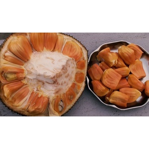 Iqf ขนุนหั่นผลไม้แช่แข็งจากเวียดนามสามารถกำหนดโลโก้และบรรจุภัณฑ์ได้เอง - Product Image 1