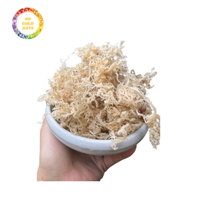 99 Gold Quality Dried Irish Sea Moss Exceptional <b>Seaweed</b> From Vietnam - Product Image 4