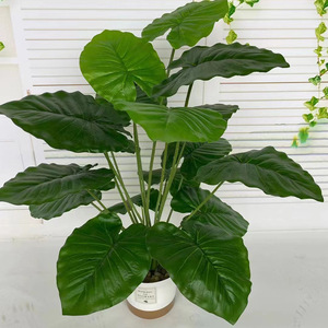 Mô phỏng cây xanh lớn phòng khách trang trí nội thất rùa lá chuối trong chậu cây nhân tạo cau lòng bàn tay - Product Image 5