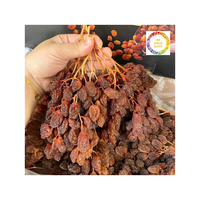 Raisin séché doux et tendre plein de bonté naturelle Un régal sans culpabilité pour profiter à tout moment n'importe où