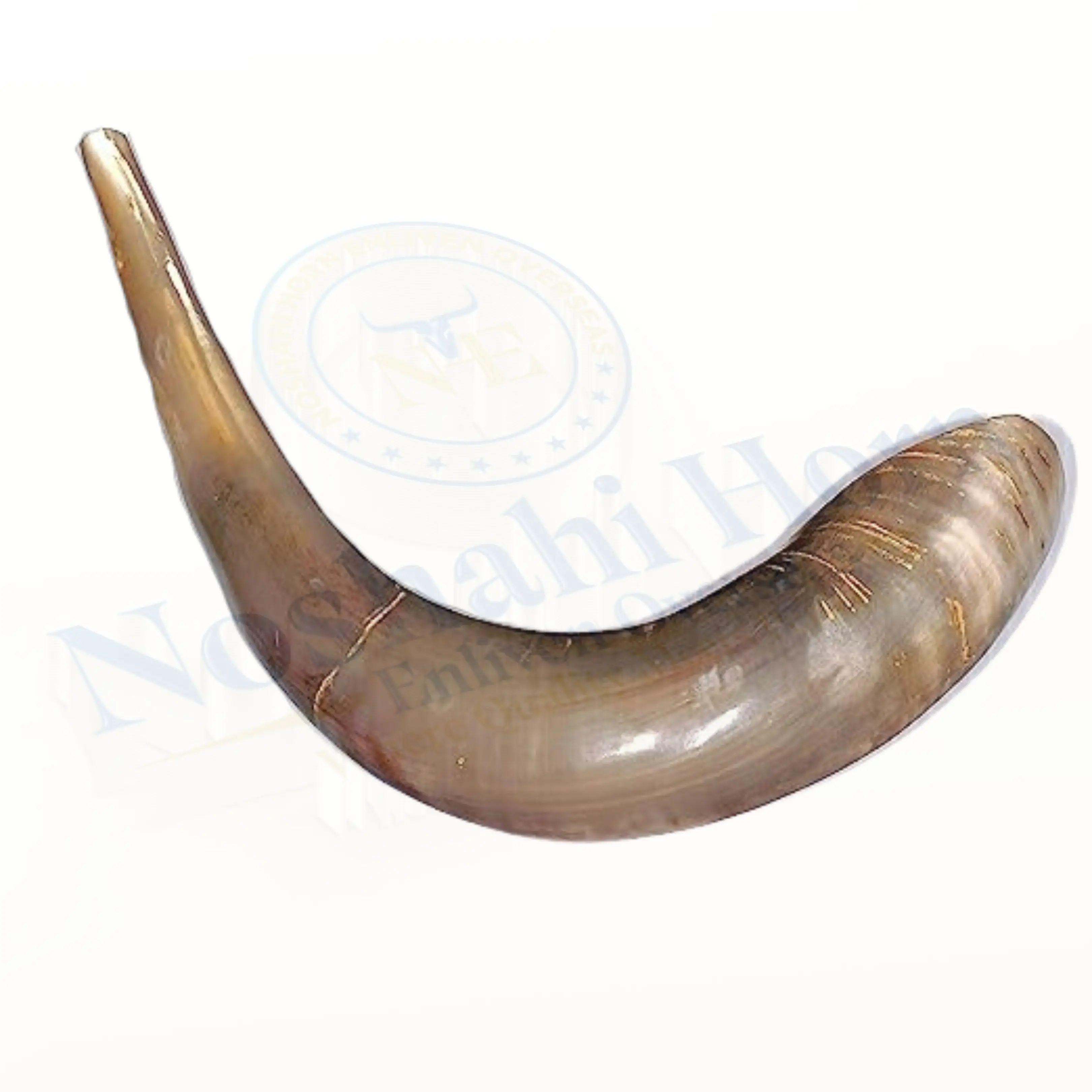 Hot selling natural ram shofar horn for blowing with exciting offer Shofar / Kudu / Ram Horn / Polished Shofar by Craftsy Home