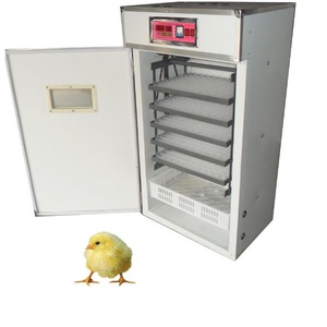 Incubateur multifonctionnel pour volailles, incubateur universel pour œufs de poulet, canard, oie, caille - Product Image 6