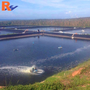 Meilleure vente de géomembrane, biodigesteur en géomembrane, géomembrane bitumineuse, doublure de géomembrane, sac de géomembrane <span class=keywords><strong>pas</strong></span> <span class=keywords><strong>cher</strong></span>, réduction sur la géomembrane - Product Image 3