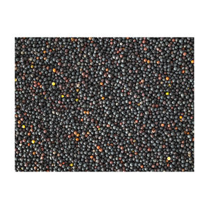 Vente en gros de colza à bas prix d'usine pour les exportateurs - Product Image 3