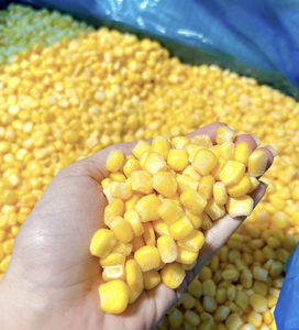 Granos de Maíz Amarillo Congelados de Vietnam elaborados con material de maíz puro, ideales para uso culinario conveniente en restaurantes - Product Image 1