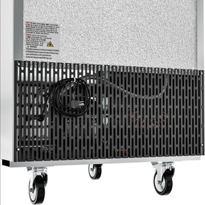 Tout nouveau congélateur RIR1DSSHD, 29 pouces, à refroidissement rapide, Shock-Chill, 23 pi³ Unités commerciales à accès direct - Prêtes pour l'exportation - Product Image 5