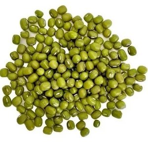 Haricots mungo naturels de qualité supérieure bons prix produits du Vietnam-Haricot mungo vert en vrac pour la nourriture - Product Image 3