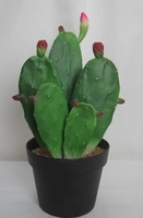 Plantes et ornements en pot de cactus en plastique pour décoration intérieure haut de gamme