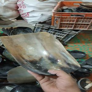 Bandeja de servicio de cuerno de búfalo natural sostenible Diseño único Art Deco con mango de cuenco de cuerno pulido brillante para obsequios de frutas - Product Image 2