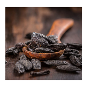 Alubias Tonka crudas y naturales para perfumería y fragancias - Product Image 6